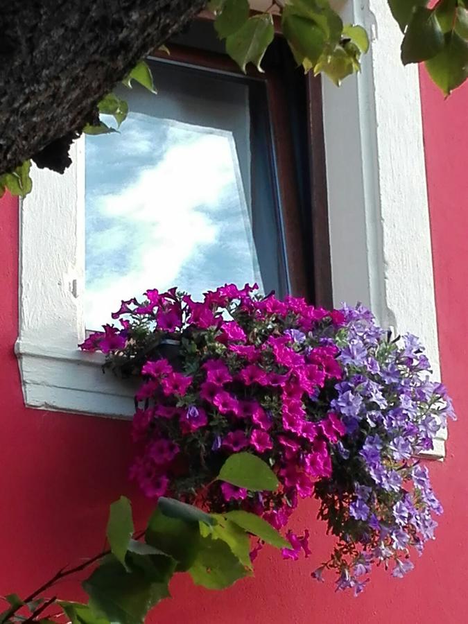 B&B Pontesello Colognola ai Colli Kültér fotó