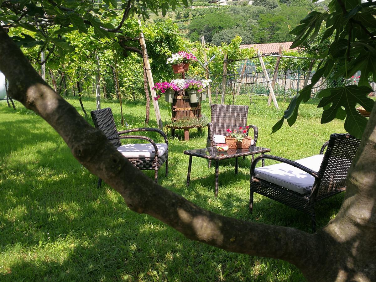 B&B Pontesello Colognola ai Colli Kültér fotó